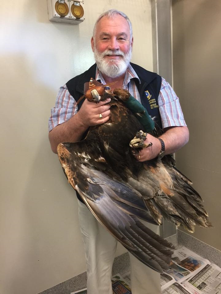 Dr Bob Doneley holding eagle